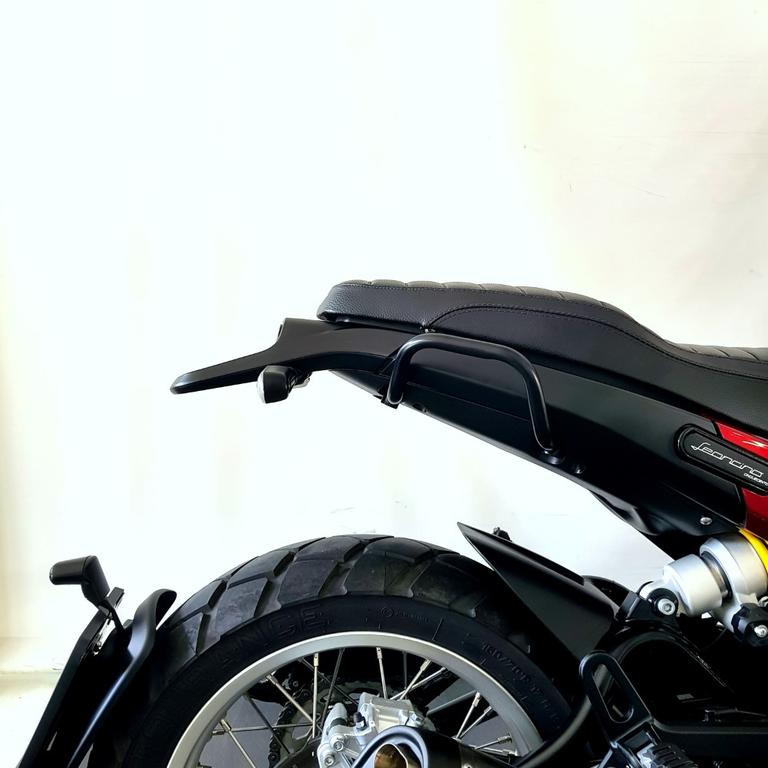 LEONCINO 500