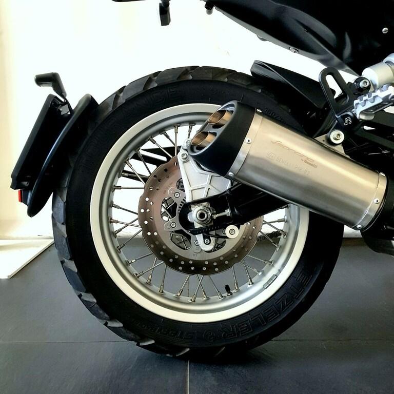 LEONCINO 500