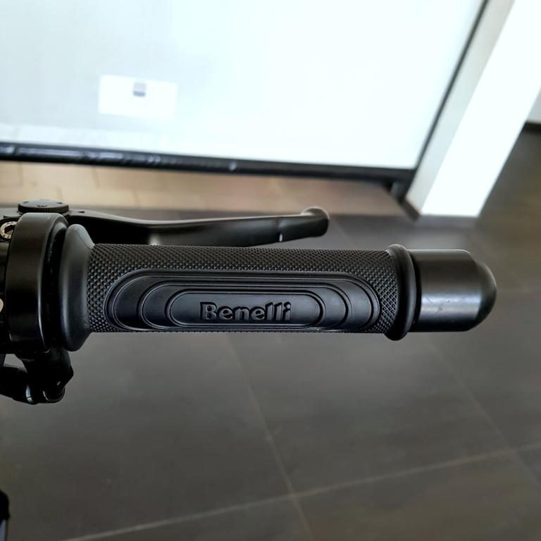 LEONCINO 500