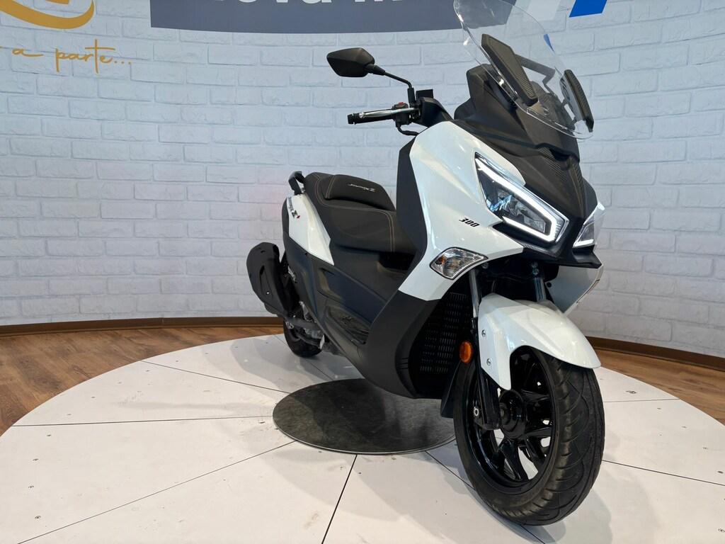 JOYMAX 300