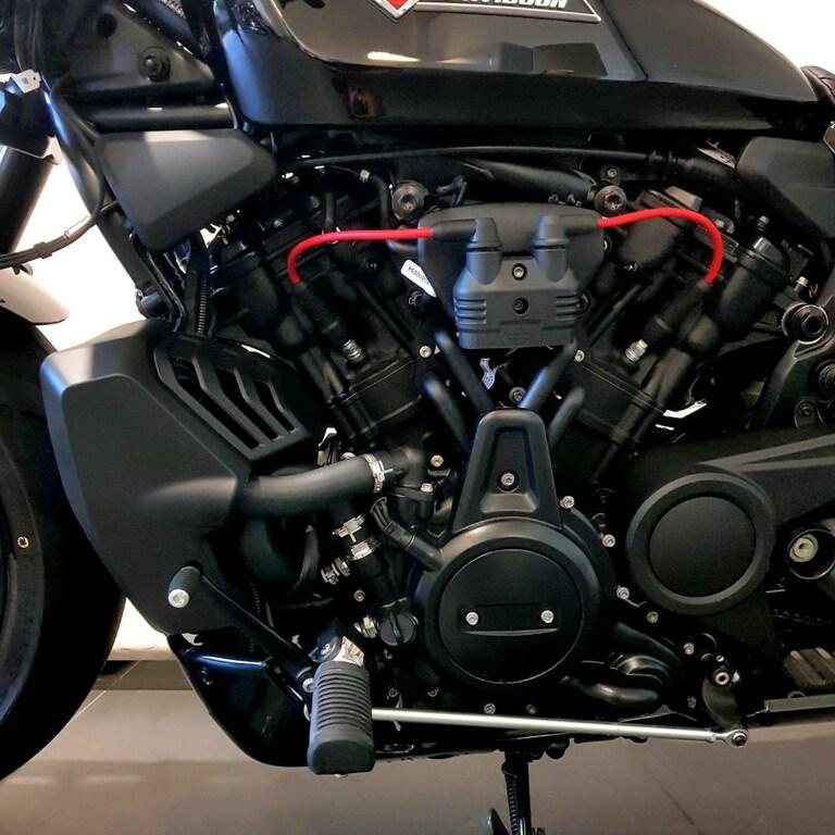 1250 SPORTSTER