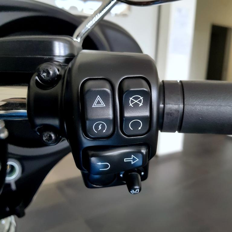 ELECTRA GLIDE 114 1868