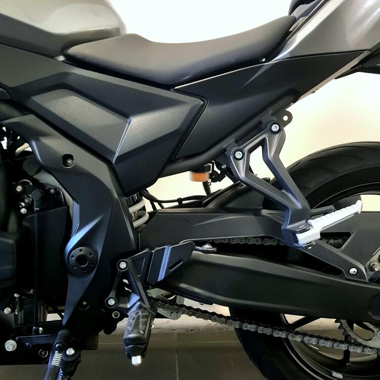 BRIVIDO 300 R