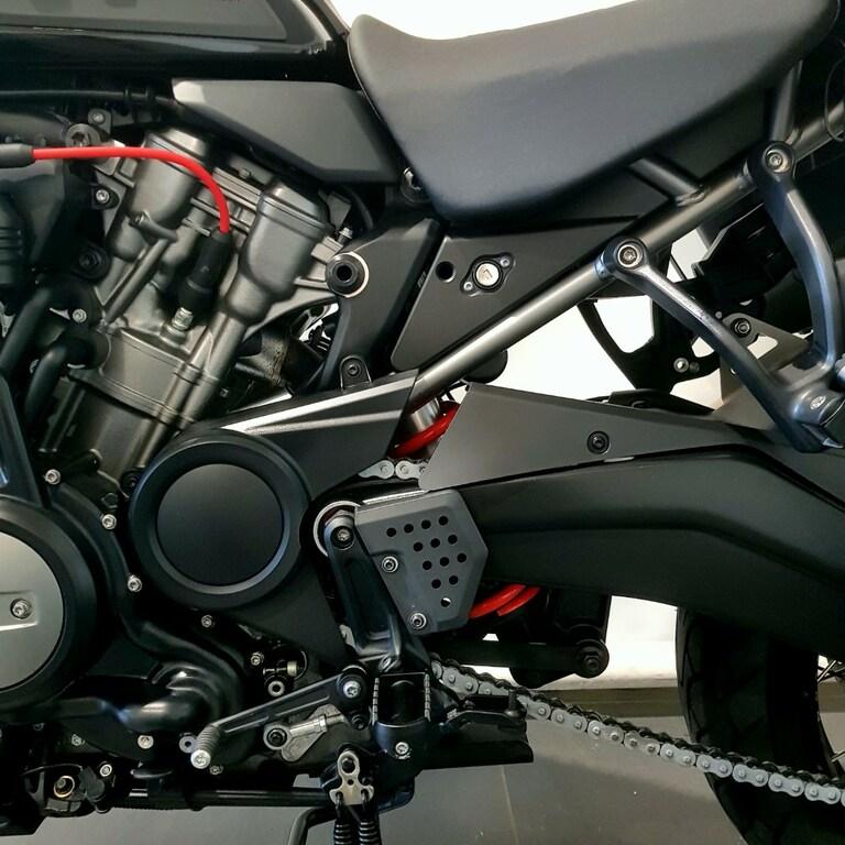 PAN AMERICA 1250