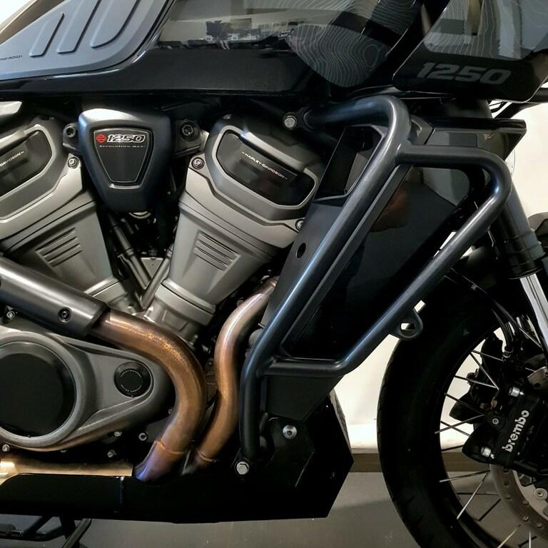 PAN AMERICA 1250