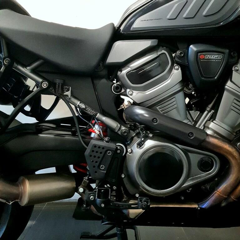 PAN AMERICA 1250