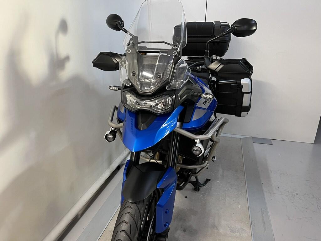 TIGER 900