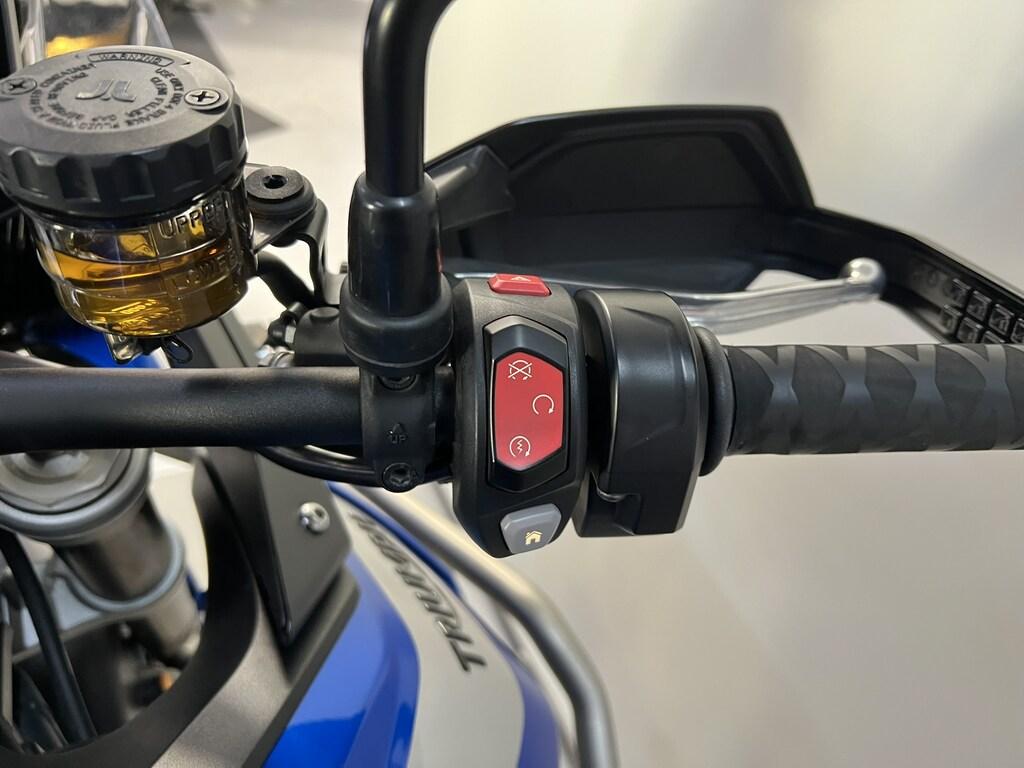 TIGER 900