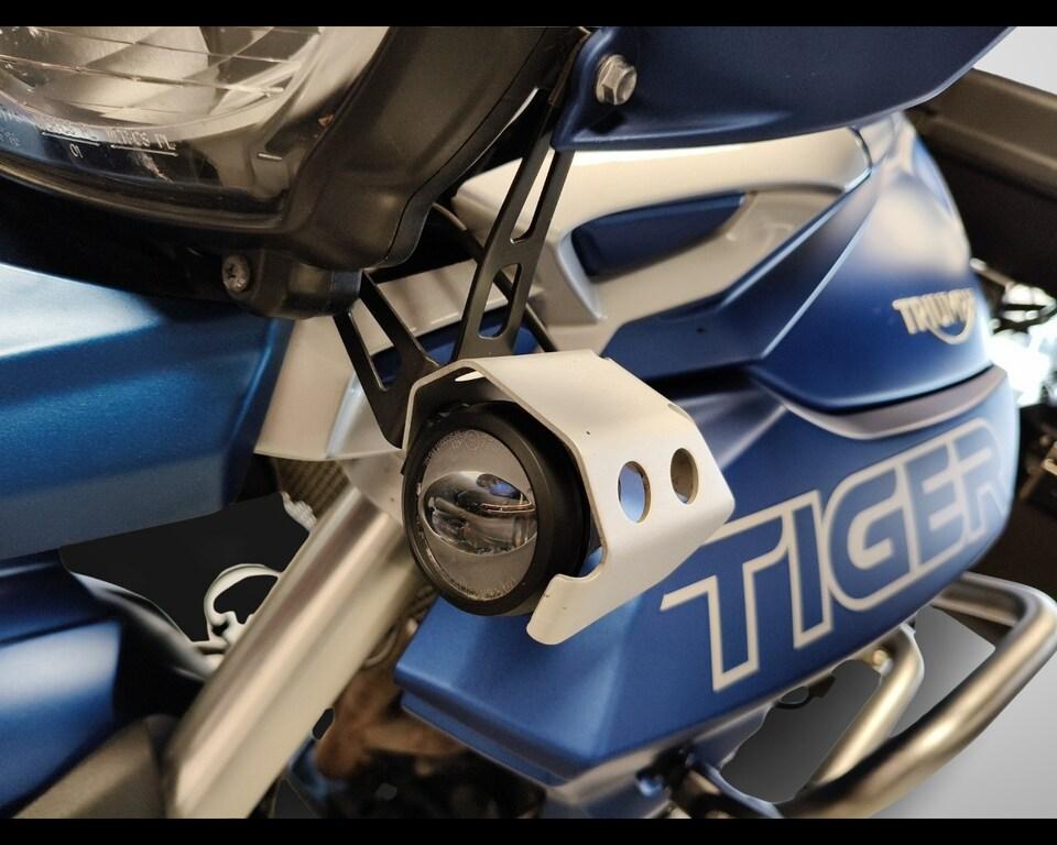 TIGER 800
