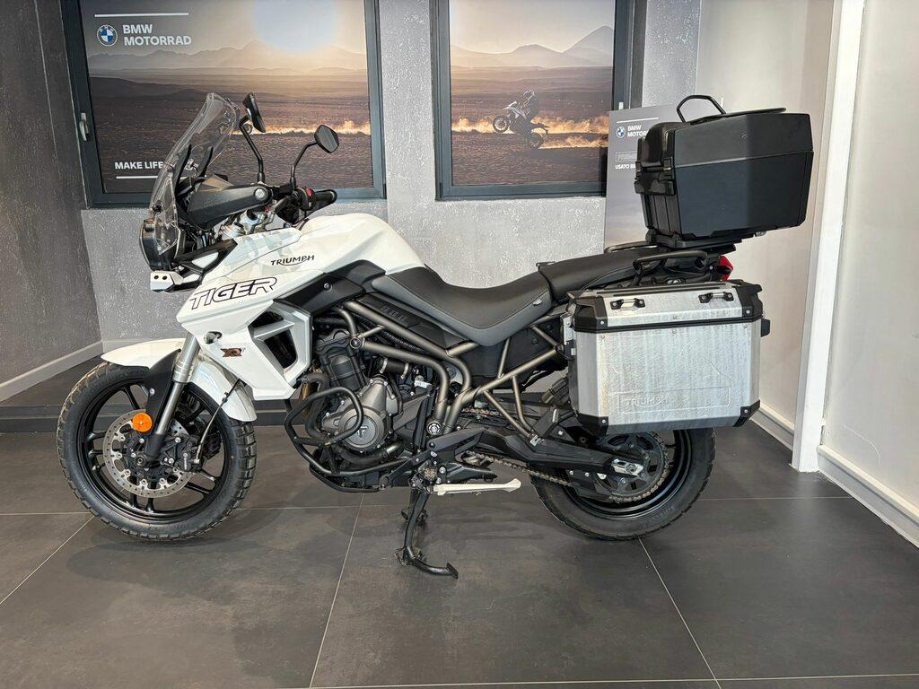 TIGER 800
