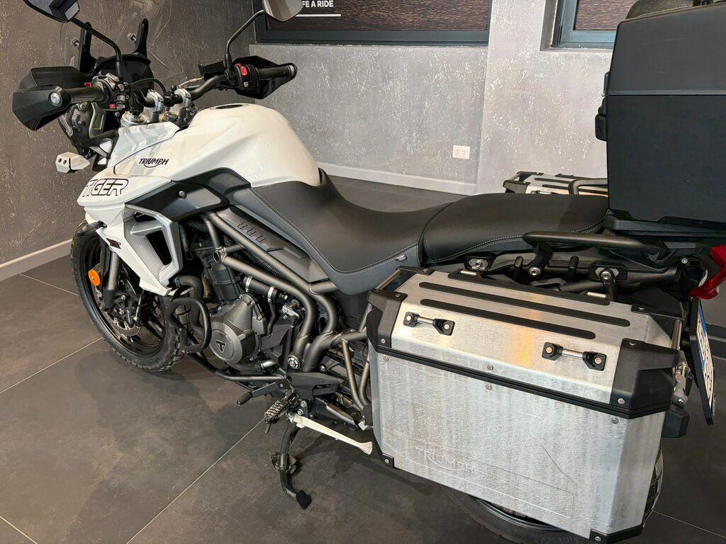 TIGER 800
