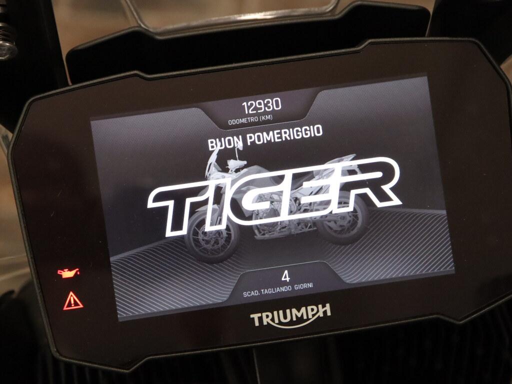TIGER 900