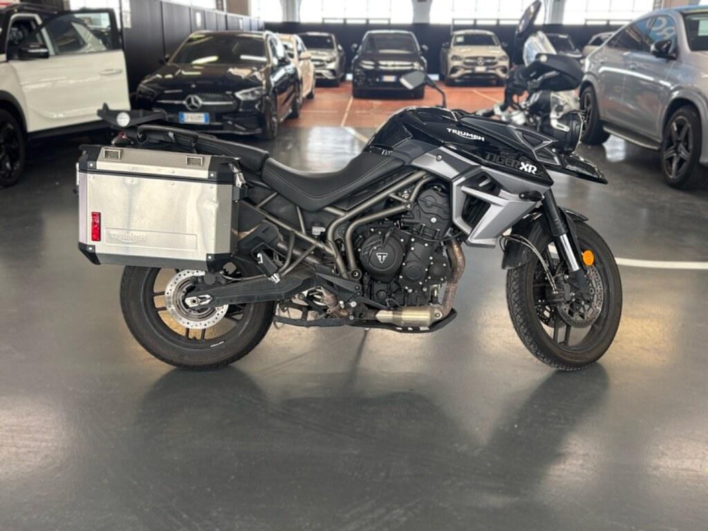 TIGER 800