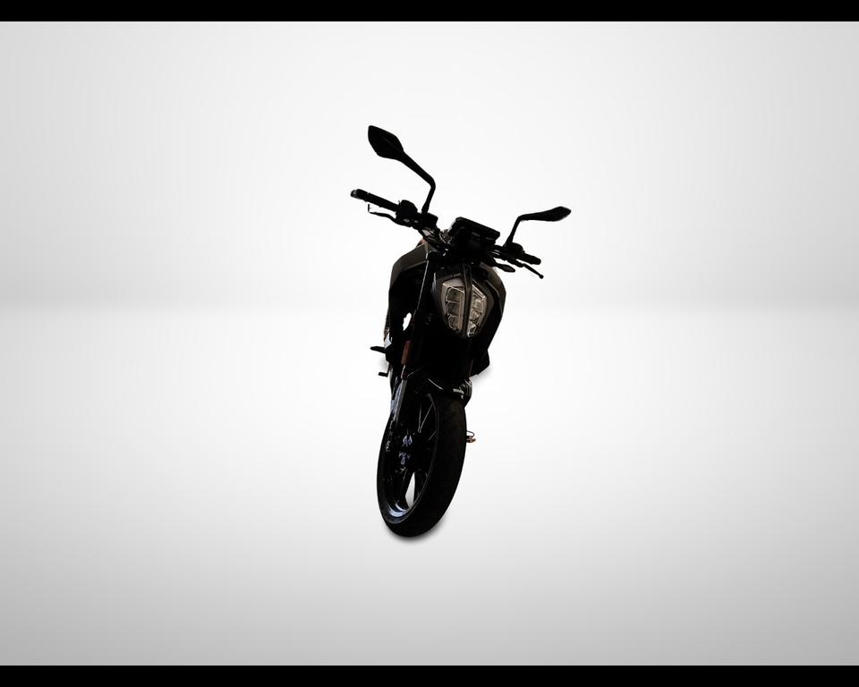 390 DUKE