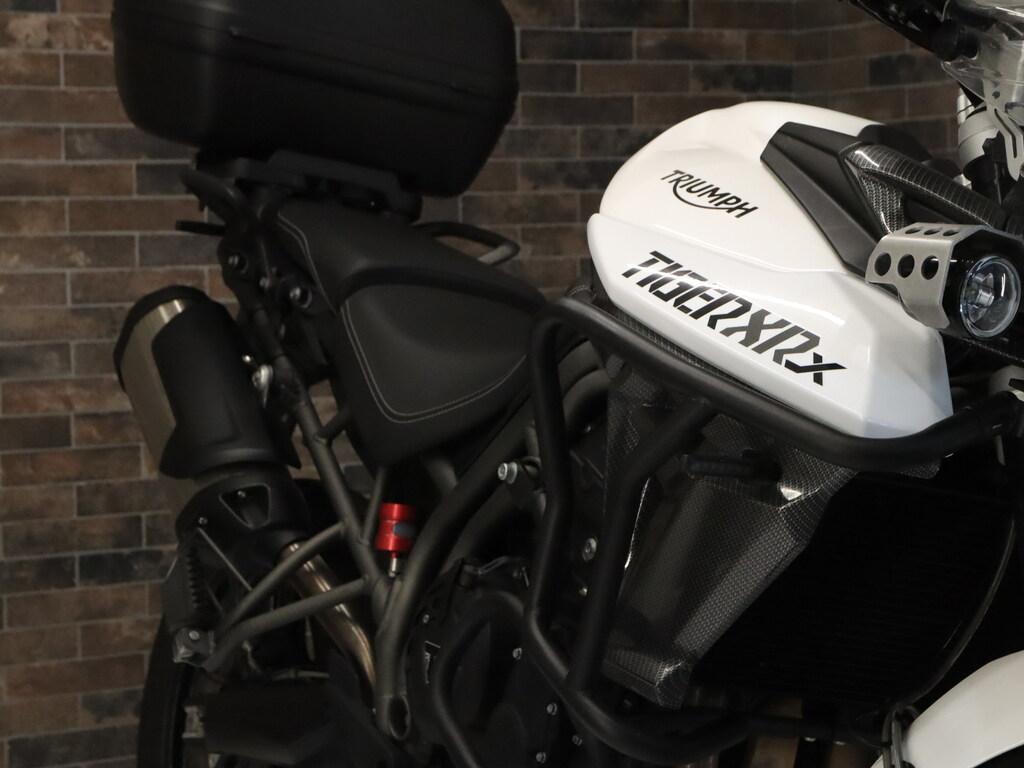TIGER 800