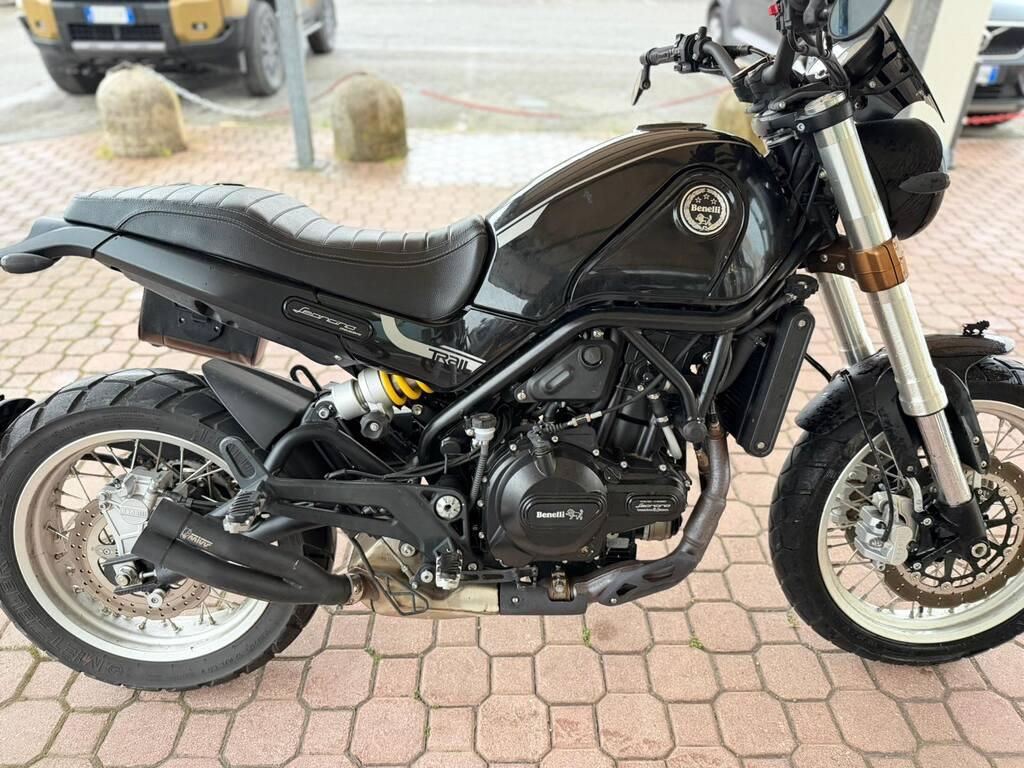 LEONCINO 500