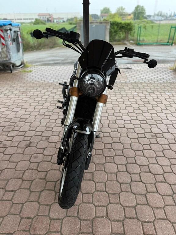LEONCINO 500
