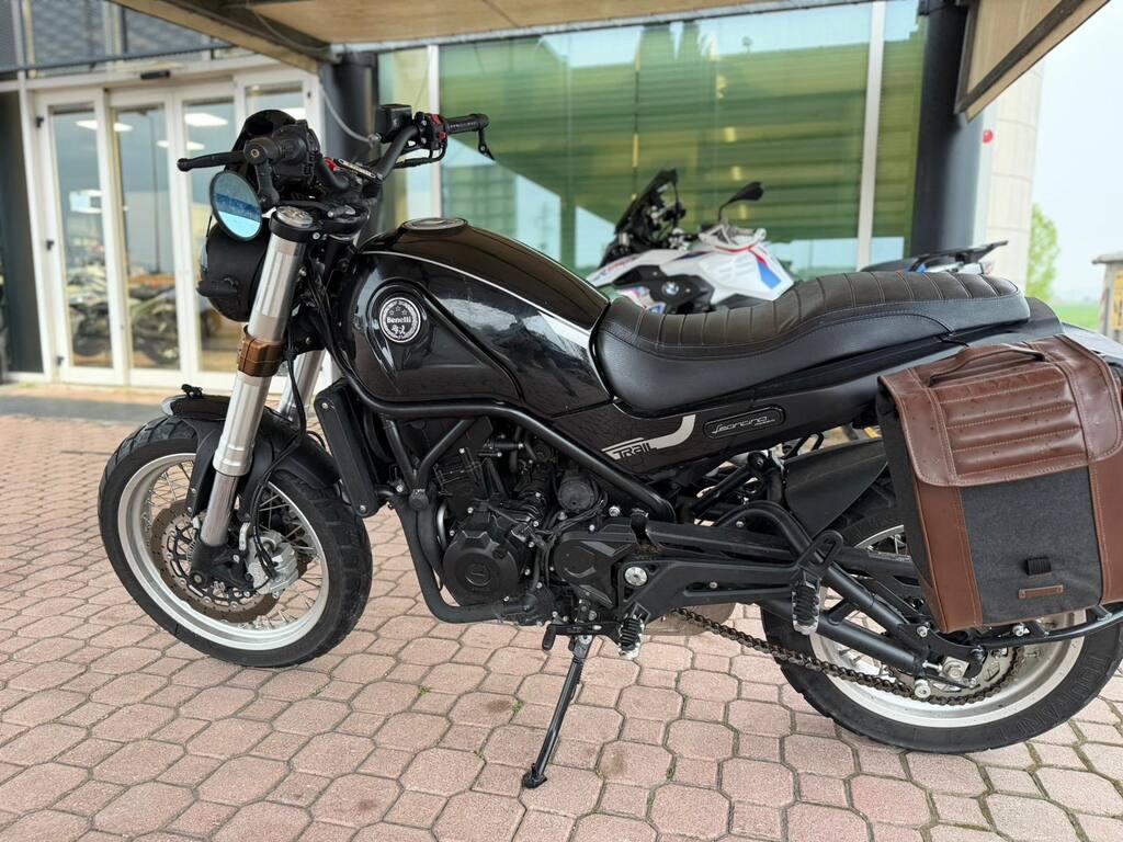 LEONCINO 500