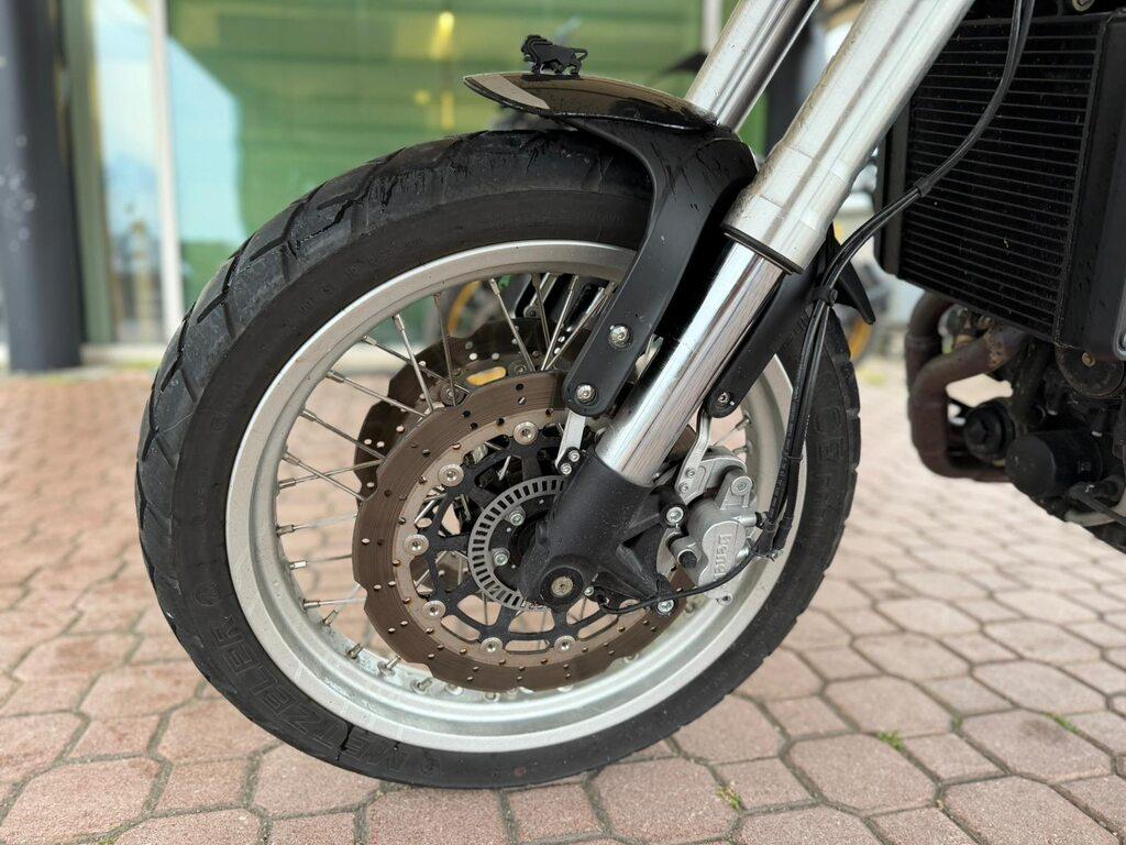LEONCINO 500