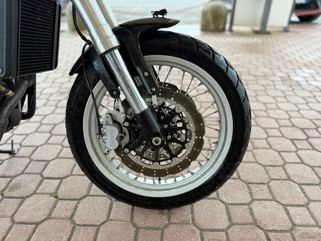 LEONCINO 500