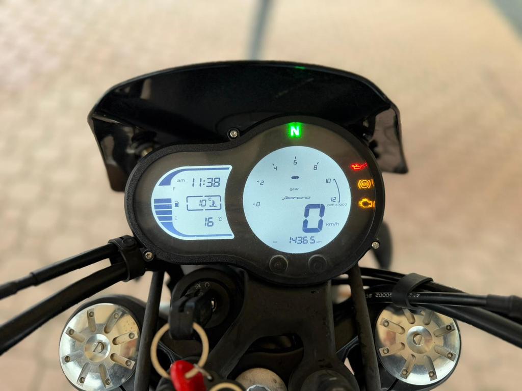 LEONCINO 500
