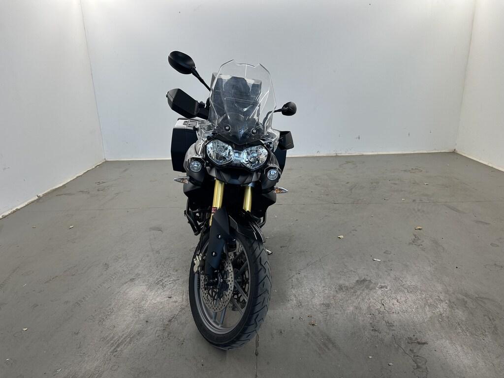 TIGER 800