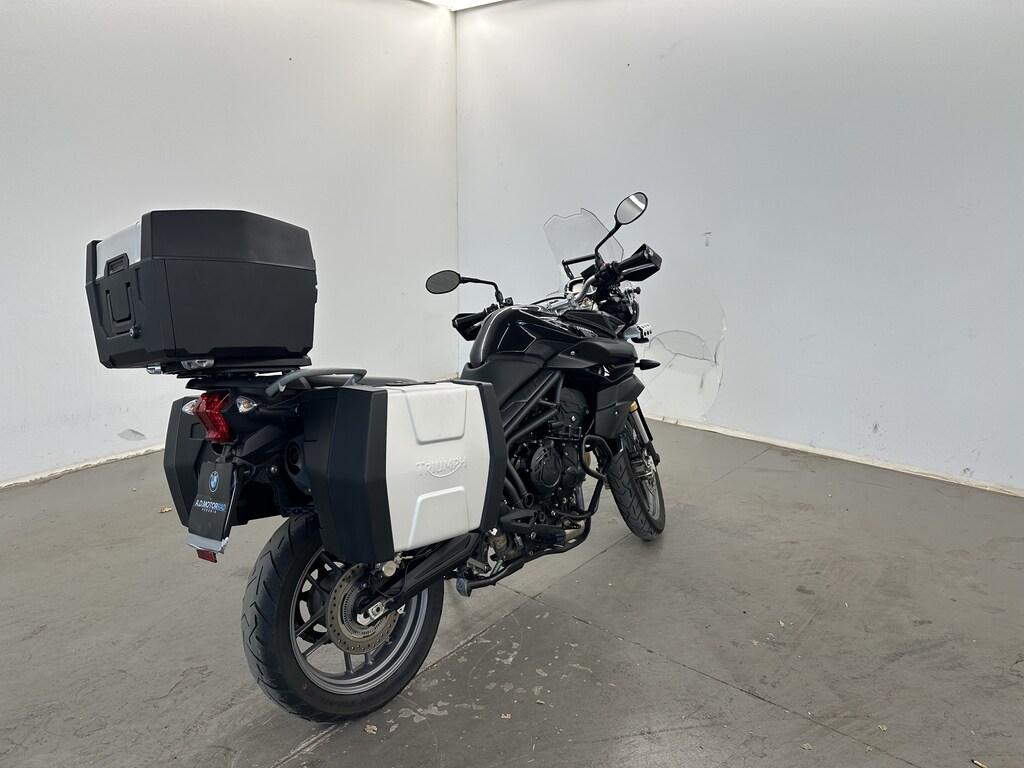 TIGER 800