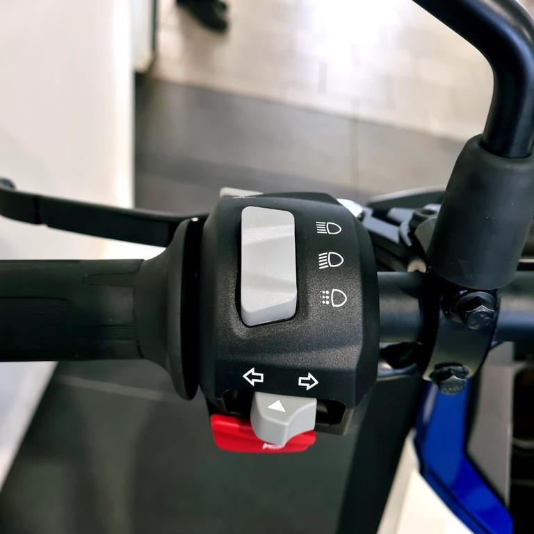 G 310 GS