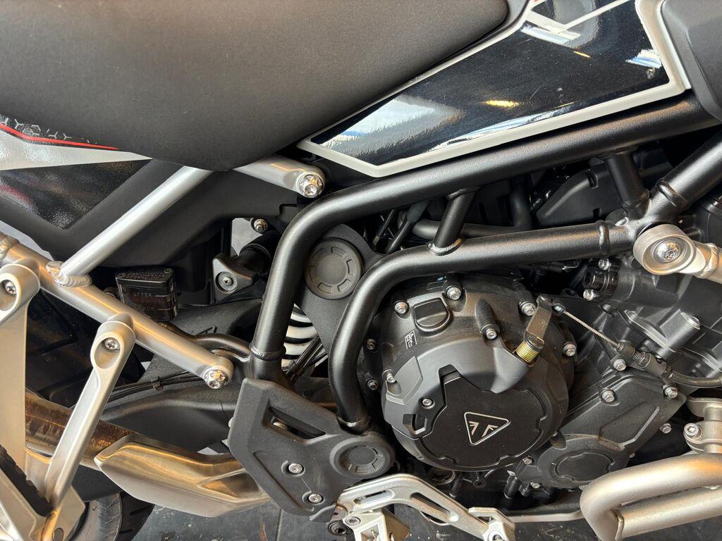TIGER 900
