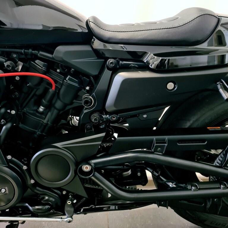 1250 SPORTSTER