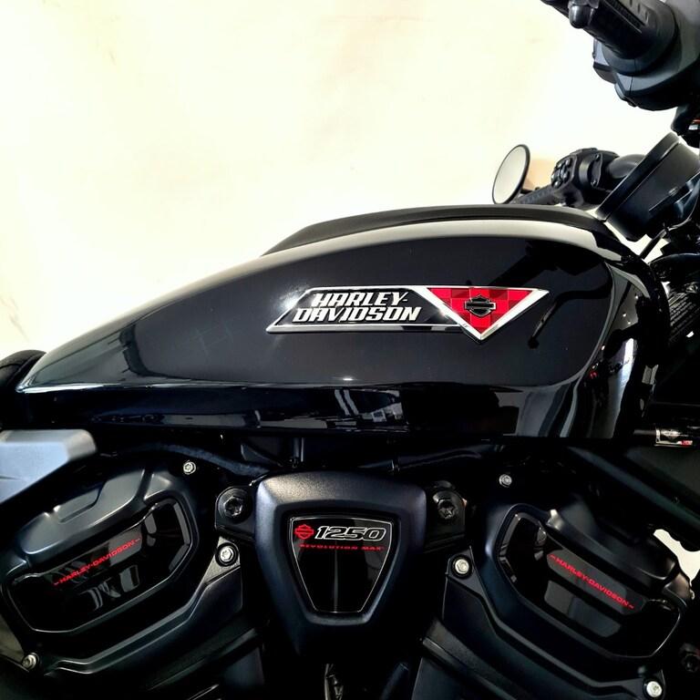 1250 SPORTSTER