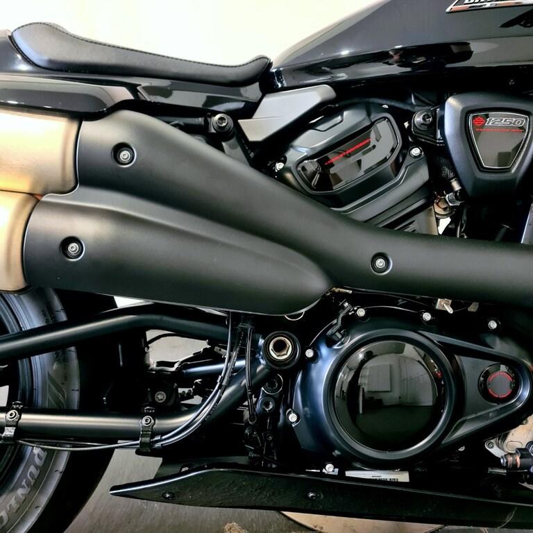 1250 SPORTSTER