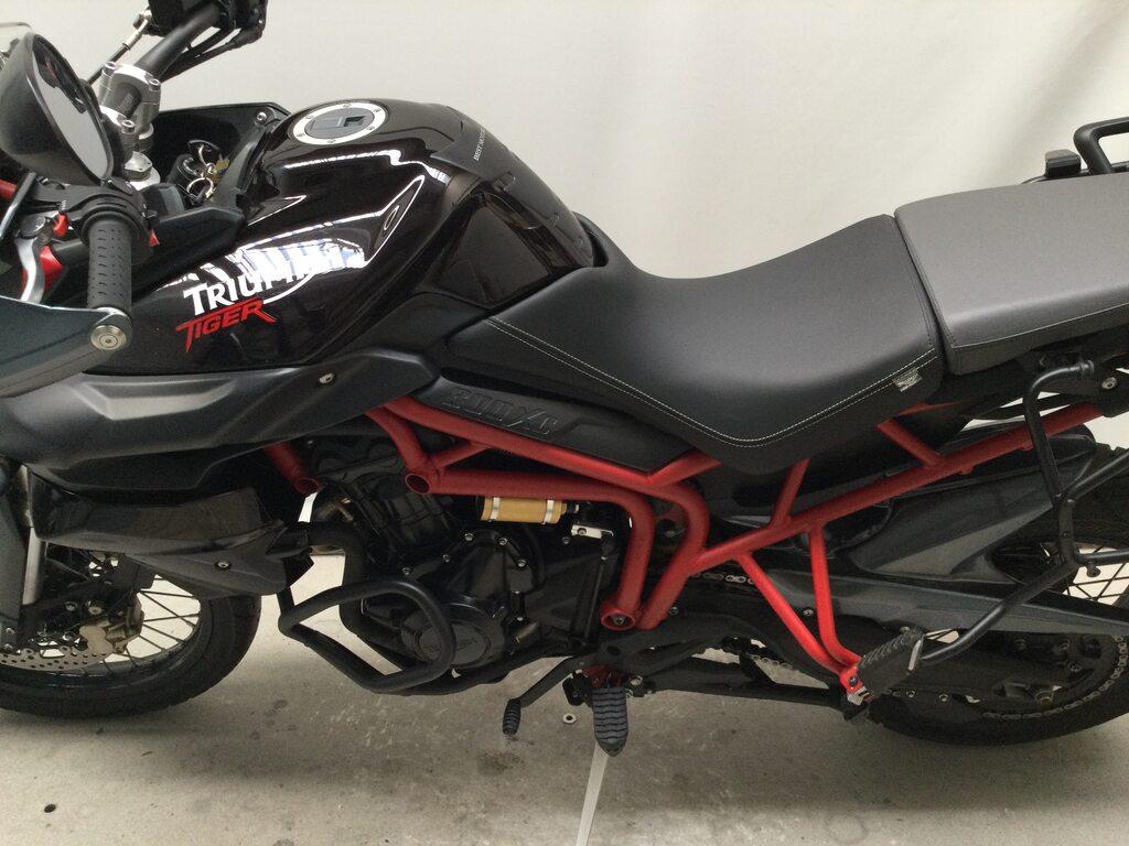 TIGER 800