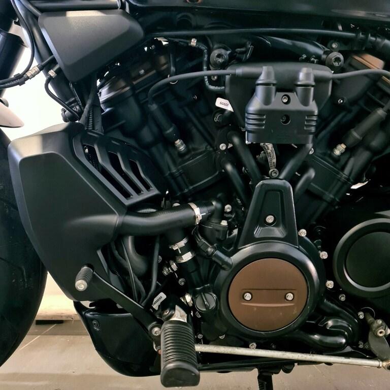 1250 SPORTSTER