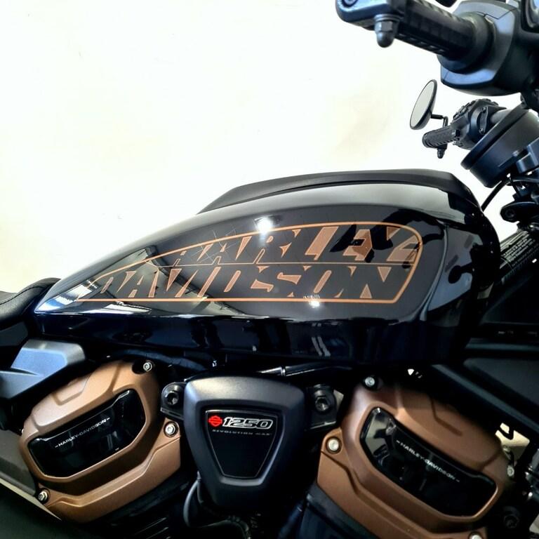 1250 SPORTSTER