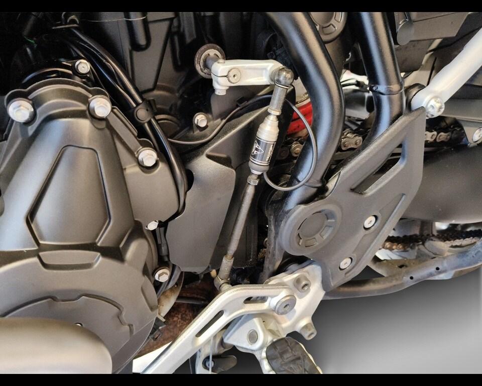 TIGER 900