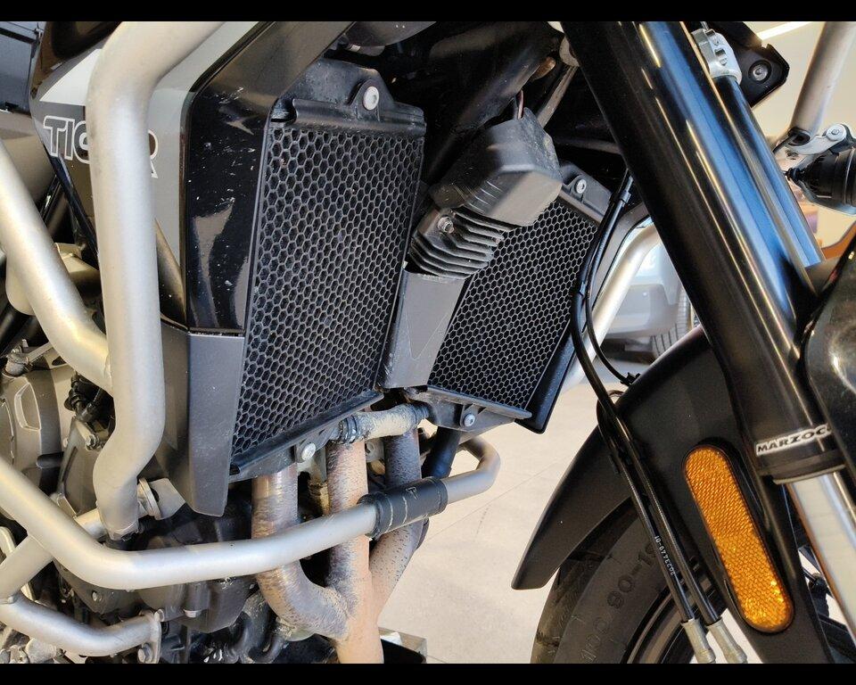 TIGER 900
