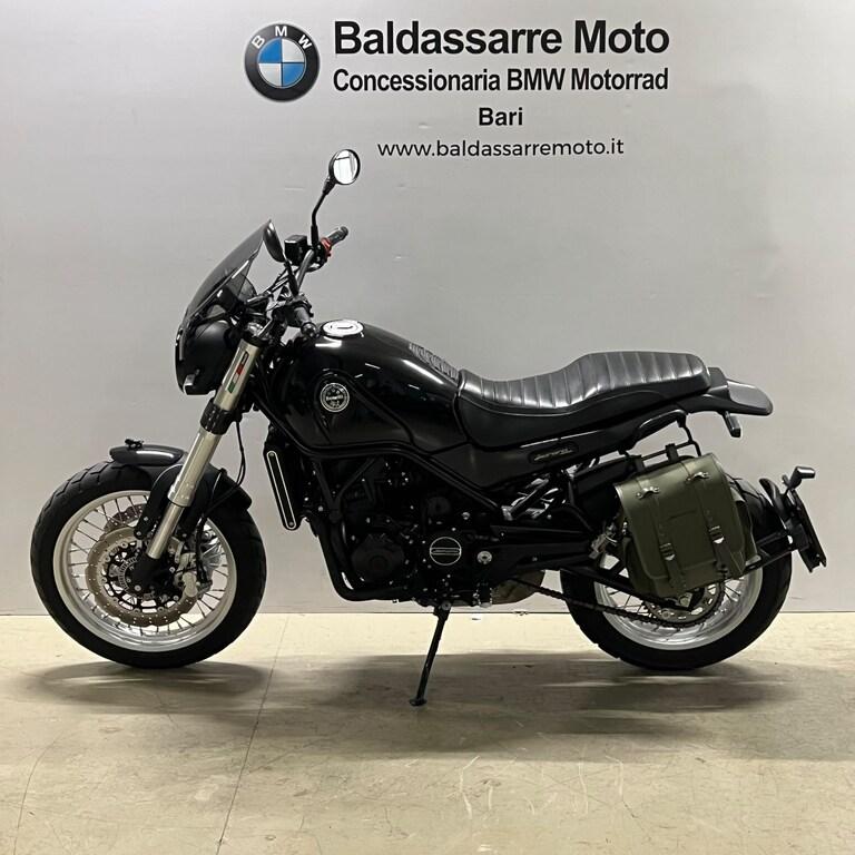 LEONCINO 500