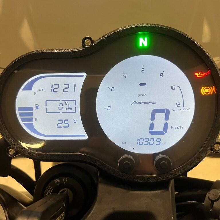 LEONCINO 500