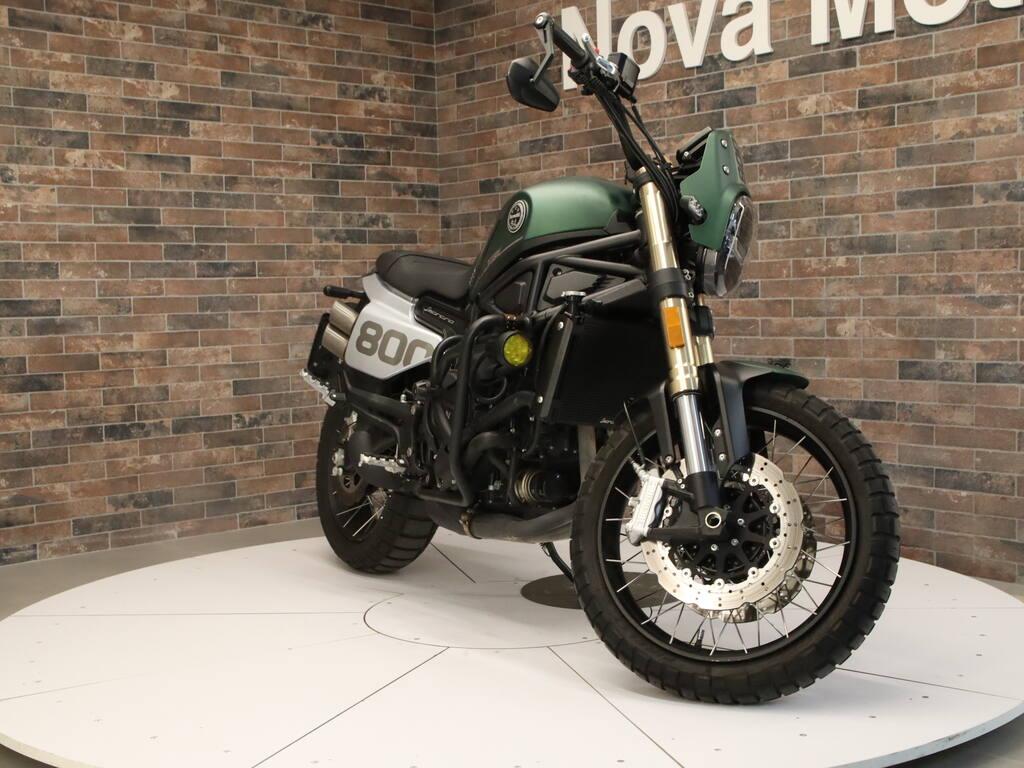LEONCINO 500