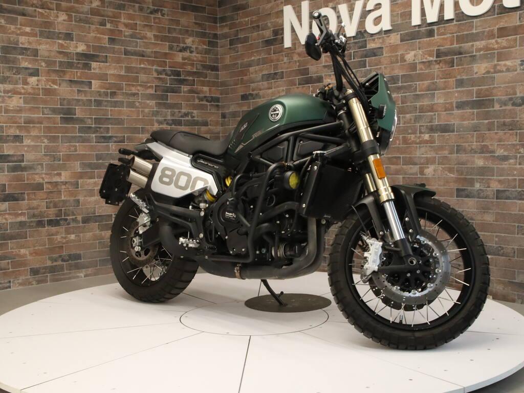 LEONCINO 500