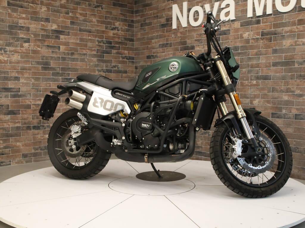 LEONCINO 500