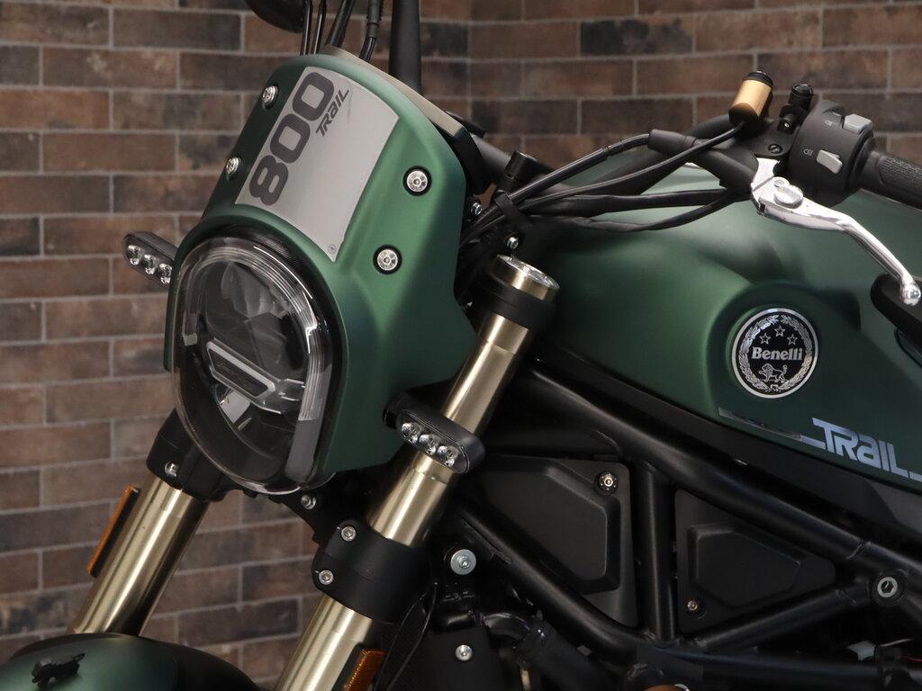 LEONCINO 500