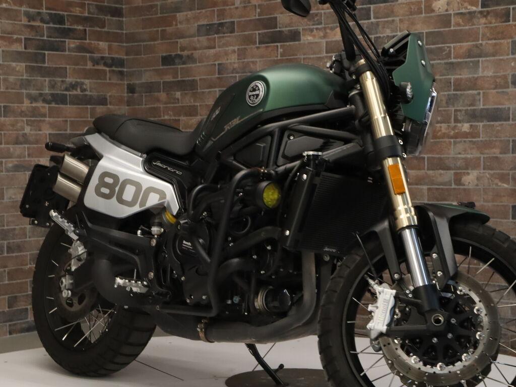 LEONCINO 500
