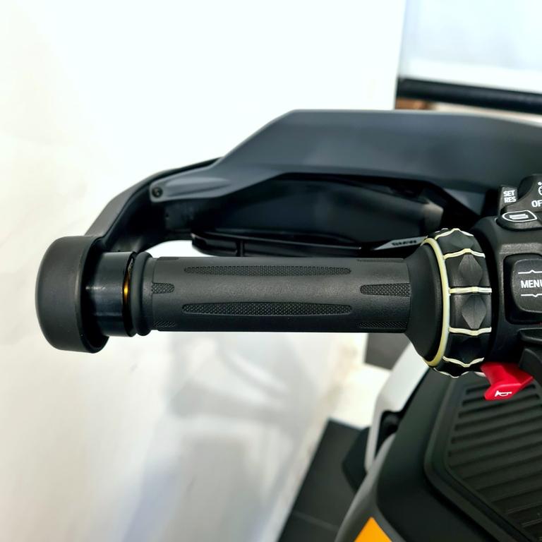 R 1300 GS