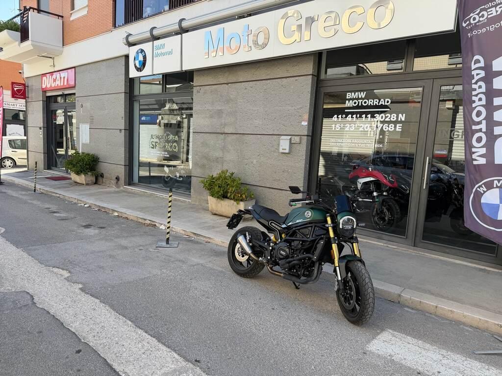 LEONCINO 500