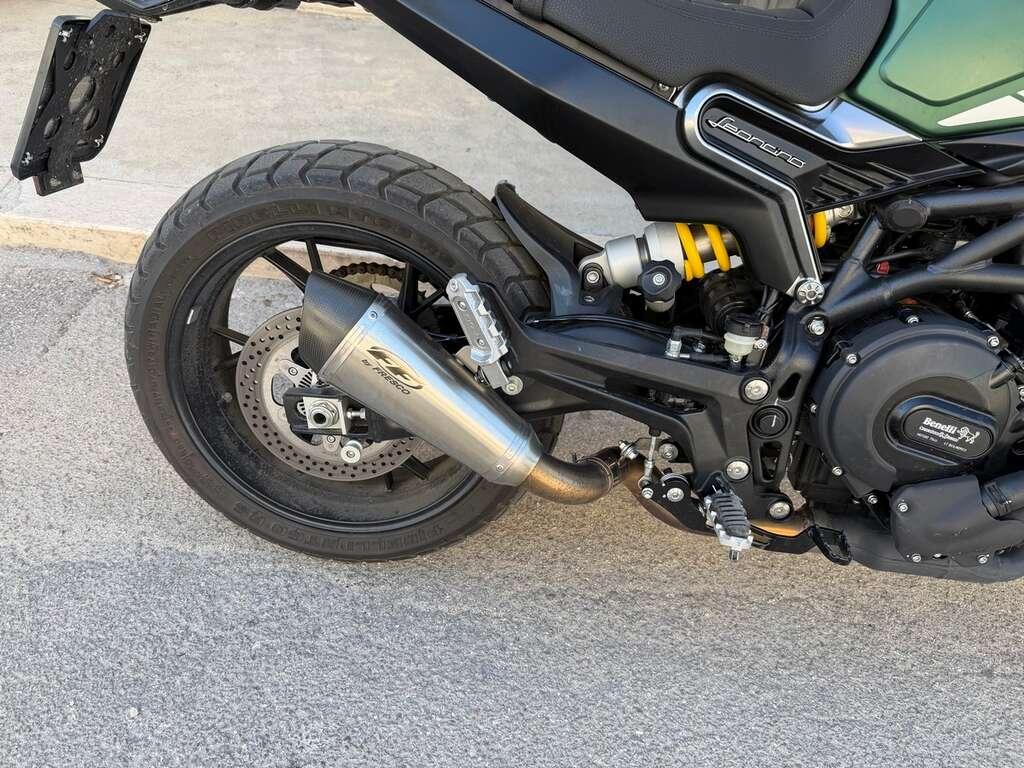 LEONCINO 500