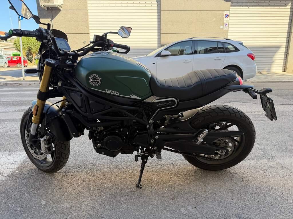 LEONCINO 500