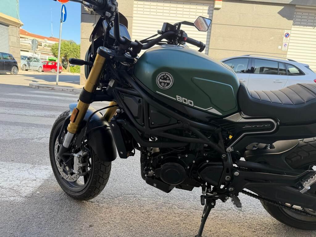 LEONCINO 500