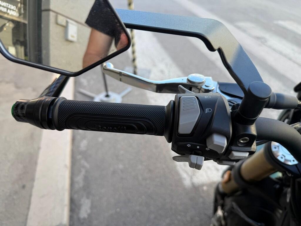 LEONCINO 500